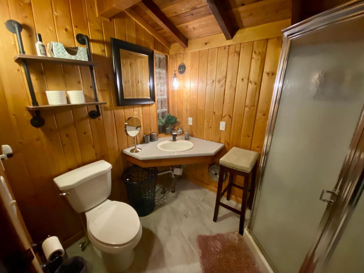 Snow Bunny Cottage, Pets Welcomed! Green Valley Lake Zewnętrze zdjęcie