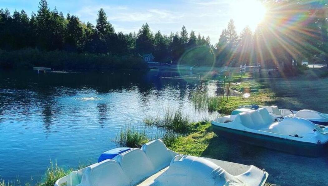 Snow Bunny Cottage, Pets Welcomed! Green Valley Lake Zewnętrze zdjęcie